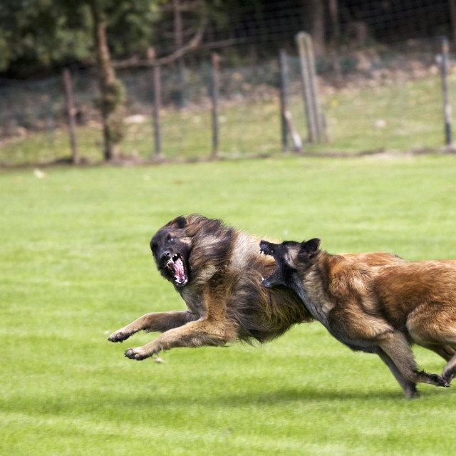 Ilustrativna fotografija