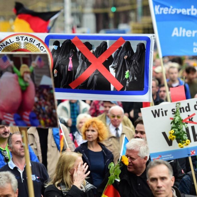 Pristaše AfD-a u Njemačkoj