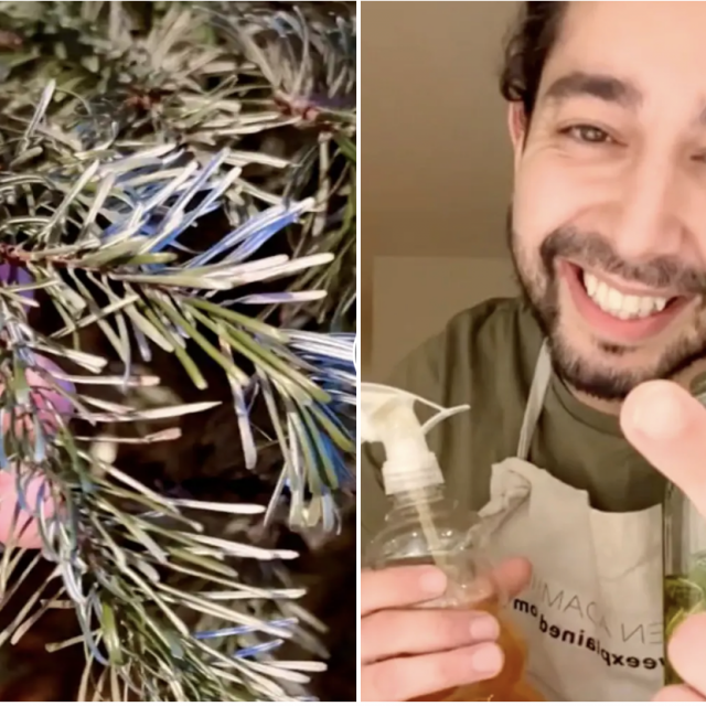 TikTok/ @creative_explained