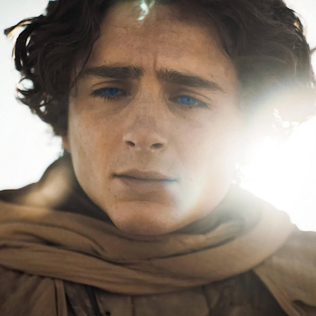 Timothee Chalamet, Warner Bros. Dina: drugi dio