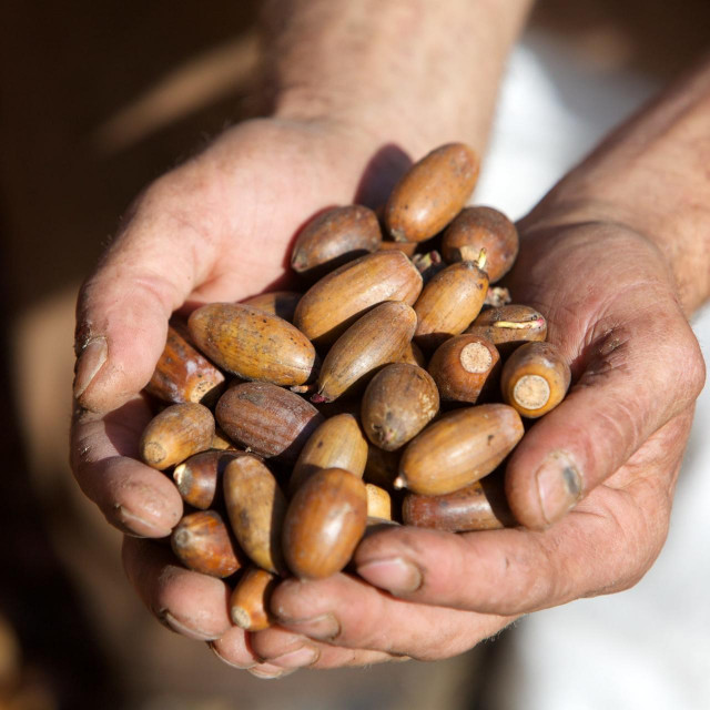 Ilustrativna fotografija