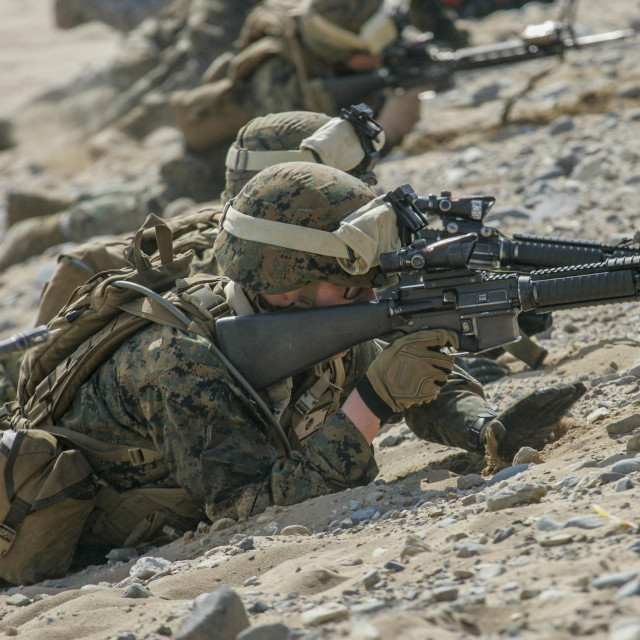 Marinske snage, prema toj viziji, trebale su biti male, mobilne jedinice koje je teško napasti