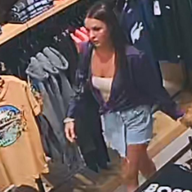 Osobe za koje se pretpostavlja da raspolažu saznanjima o krađi