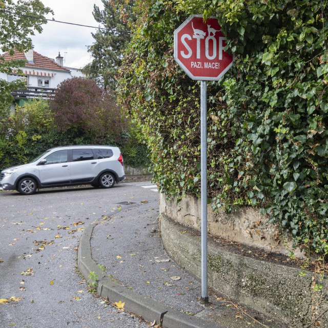 Raskrižje ulice Ružičnjak i Jagodnjak, Zagreb 