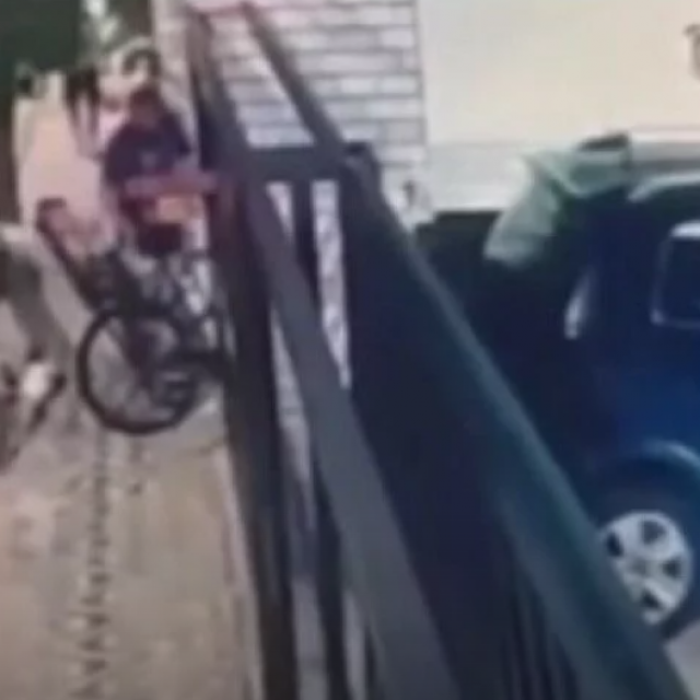 Likvidacija Darka Geislera Nedeljkovića