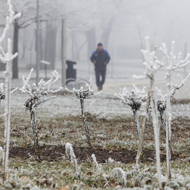 Arhivska fotografija