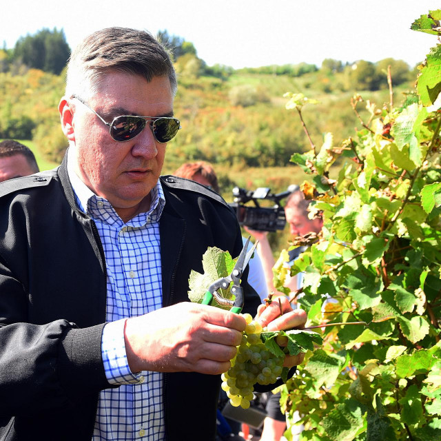 Zoran Milanović