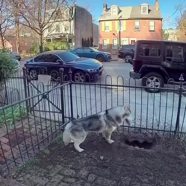 Kobe kopa rupu