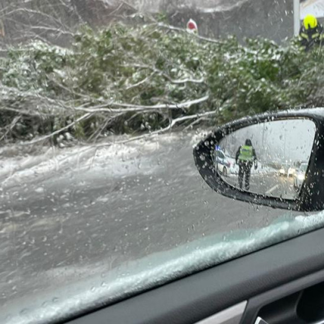 Stablo koje je palo na cestu kod Zaprešića