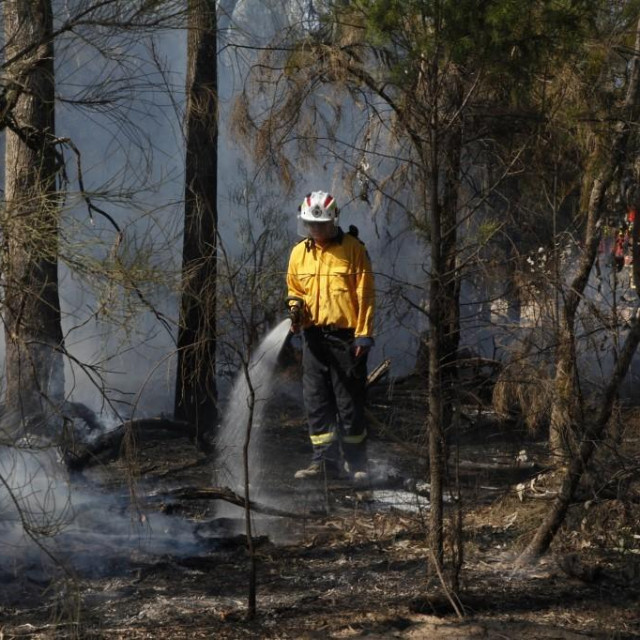 Vatrogasaci su se ranije ovoga mjeseca borili s neobuzdanim šumskim požarom u blizini Pertha