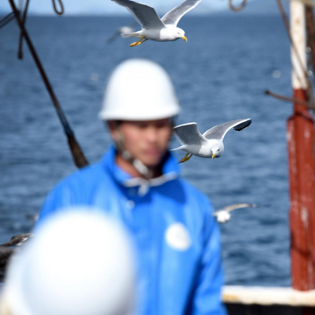 Arhivska fotografija