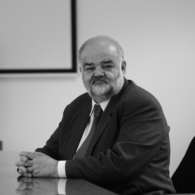 Damir Agičić
