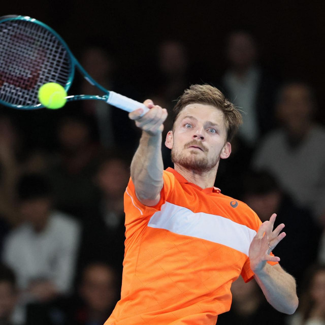 David Goffin