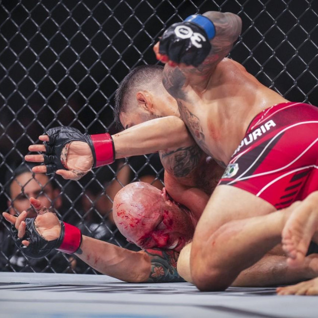 Josh Emmett (donji) vs. Ilia Topuria (gornji)