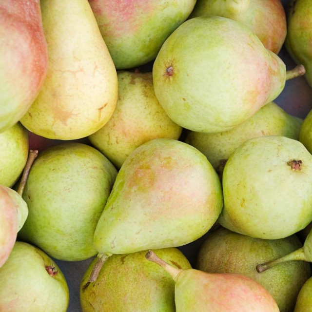 Ilustrativna fotografija