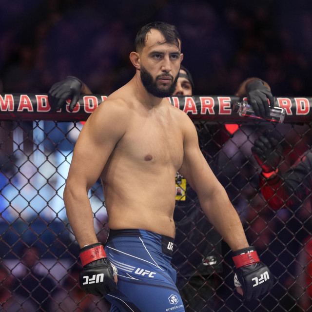 Dominick Reyes