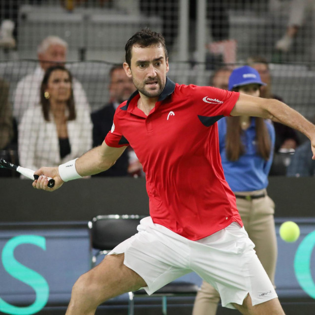 Marin Čilić