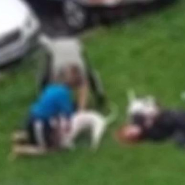 Napad pasa (ilustracija)