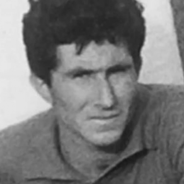Stipe Perasović