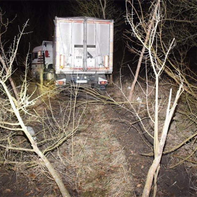 Teretnjak s prikolicom mađarskih nacionalnih oznaka sletio s ceste u šumarak