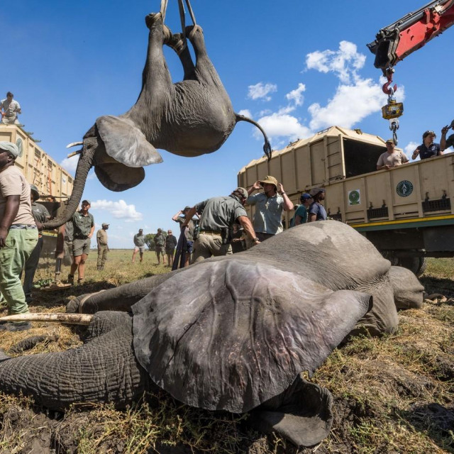 Akciju preseljenja pratili su brojni svjetski mediji