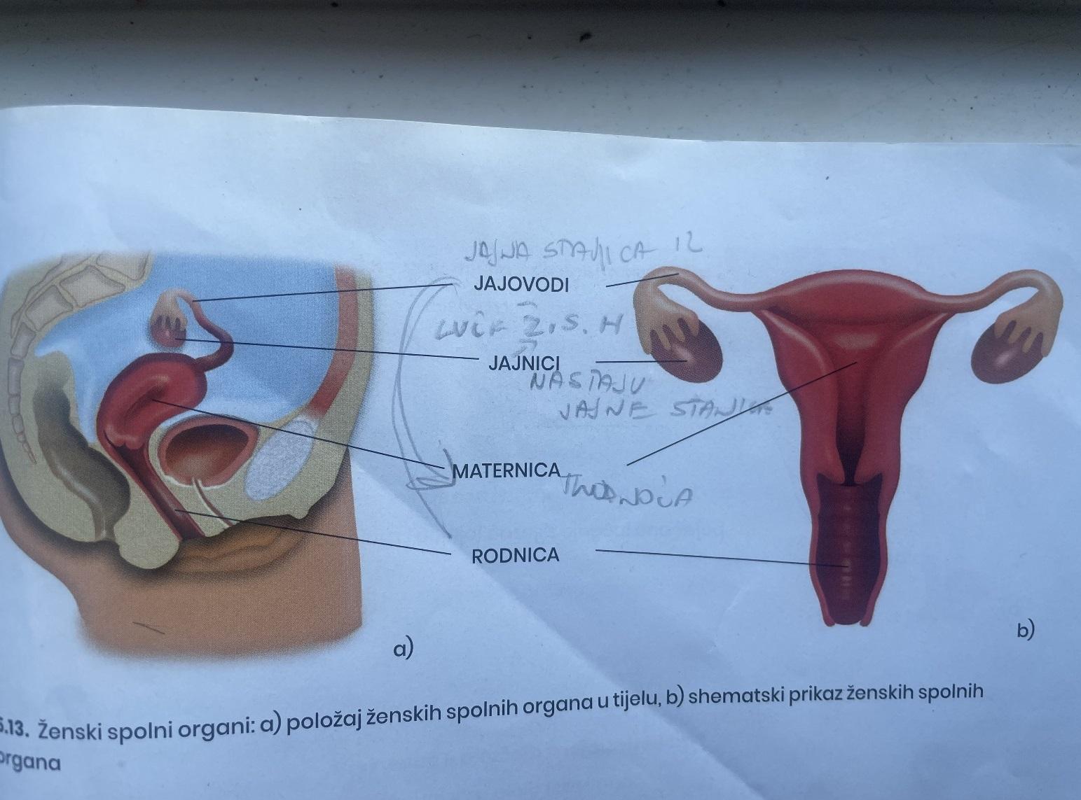 Anal jinsiy aloqa usullari