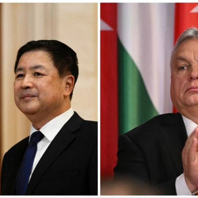 Wang Xiaohong, Viktor Orban