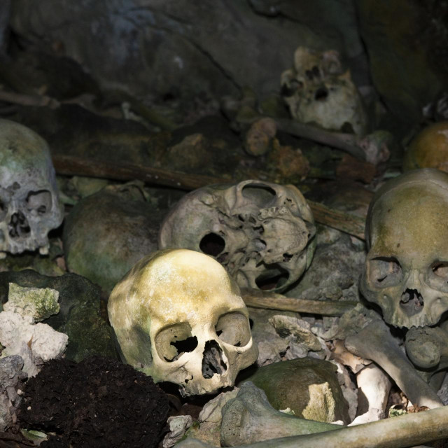 Iskopine lubanja pronađene u Papui (arhivska fotografija) 