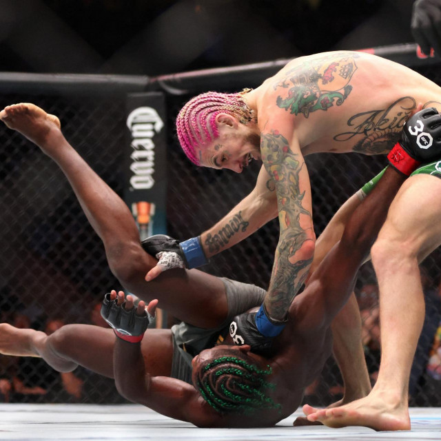 Aljamain Sterling i Sean O‘Malley