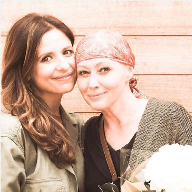 Sarah Michelle Gellar i Shannen Doherty