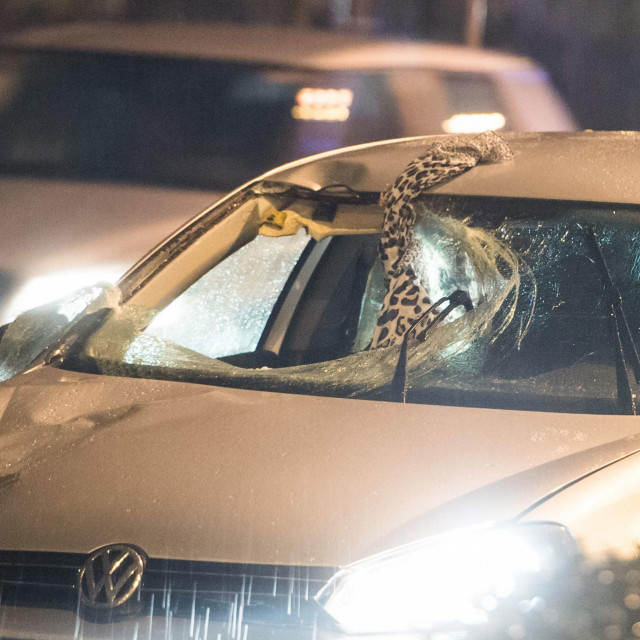 Prometna nesreća na Držićevoj aveniji u Zagrebu u kojoj je smrtno stradala pješakinja