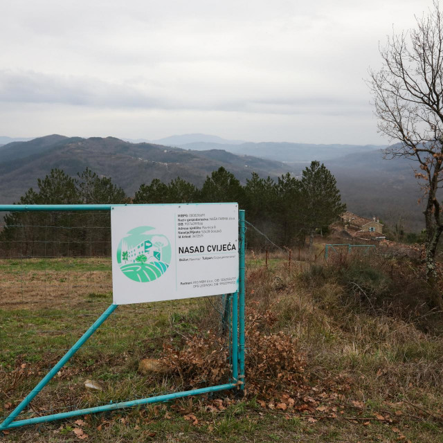 Parcela u zaseoku Golubići