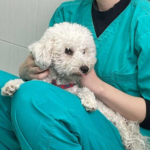 Bella Klinička i jedna od zaposlenica