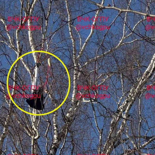 Misteriozni predmet koji je pao u Puščinu