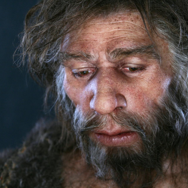 Rekonstrukcija izgleda neandertalca