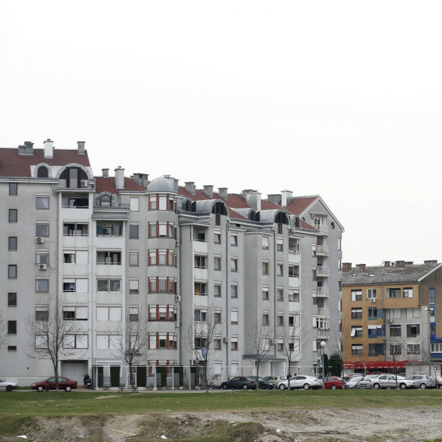 Borovje, ilustracija