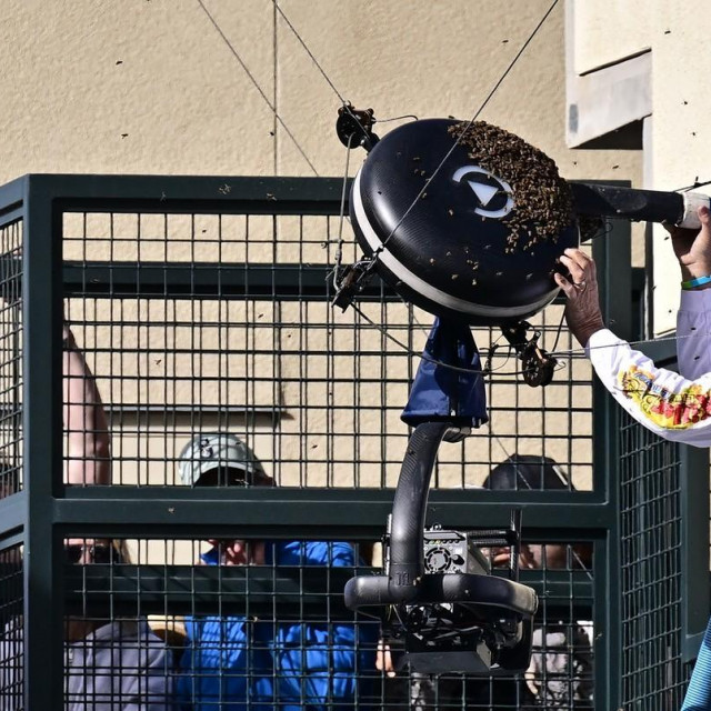 Premještanje pčela