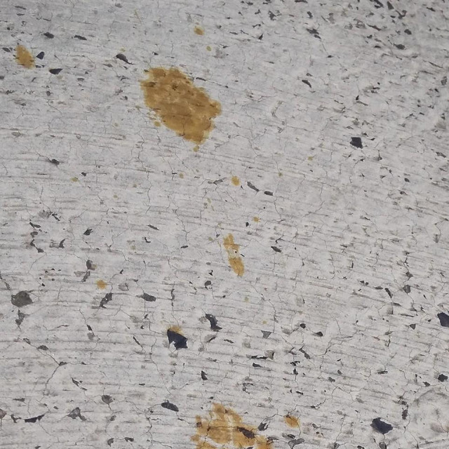 Tragovi šapa pokraj spremnika s heksavalentnim kromom