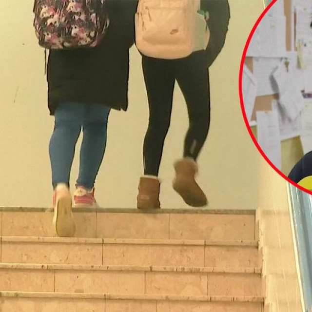 Ravnatelj OŠ Brezovica