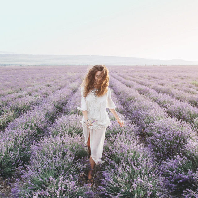 Beautiful model walking in spring or summer lavender field in sunrise backlit. Boho style clothing and jewelry.