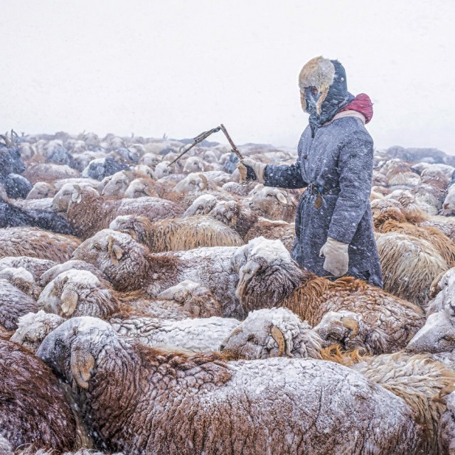 Mongolia