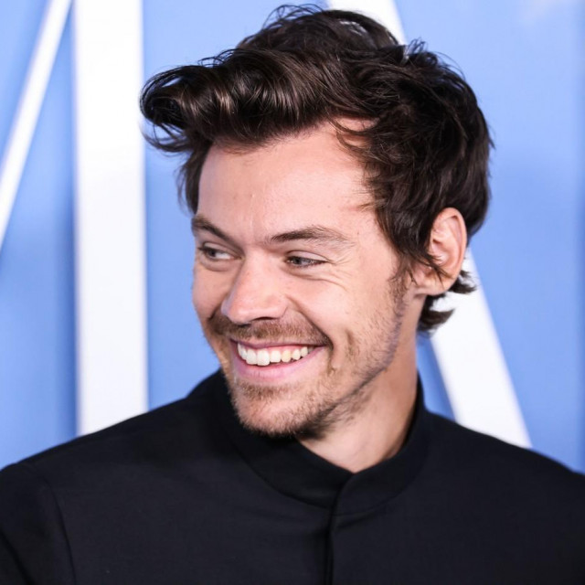 Harry Styles 