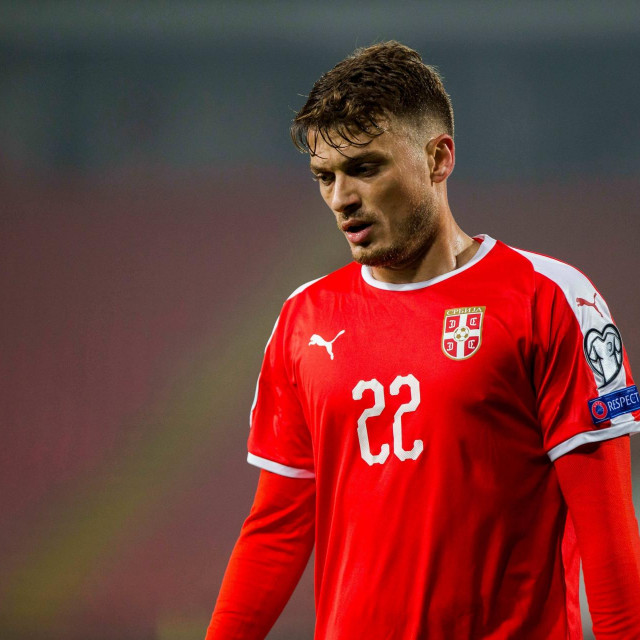 Adem Ljajić