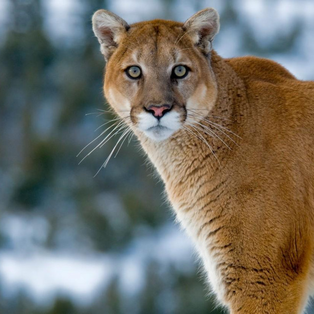 Ilustrativna fotografija