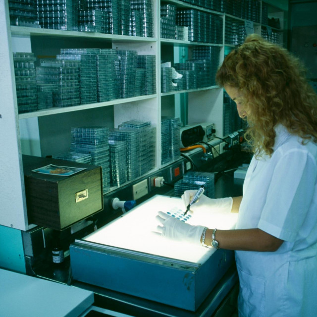 Ilustrativna fotografija