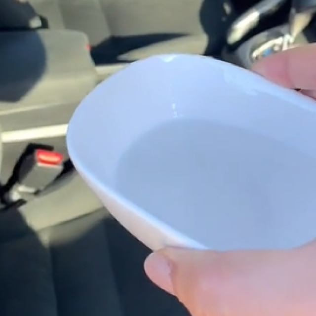 Trik za otklanjanje mirisa u autu