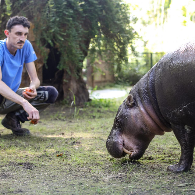 Prizor iz ZOO Zagreb