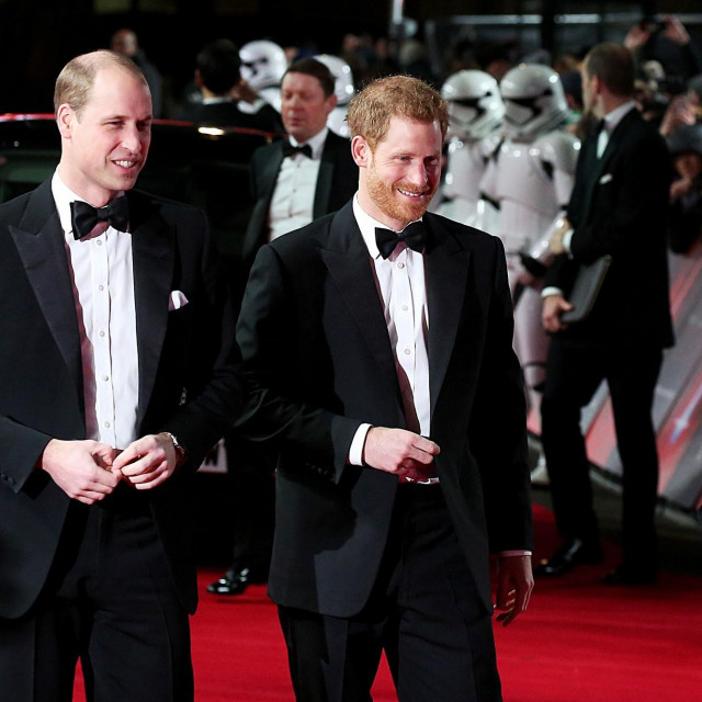 Prinčevi William i Harry