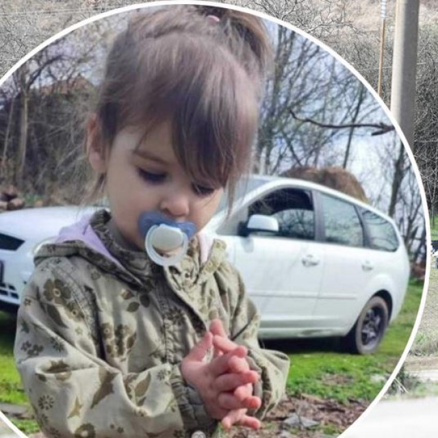 Potraga za Dankom Ilić (2)