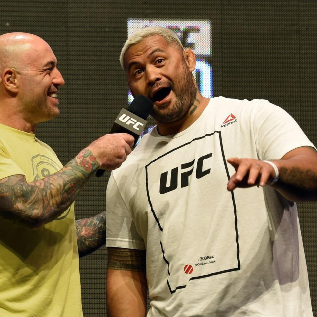 Mark Hunt
